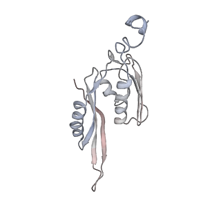 21630_6wdb_J_v1-2
Cryo-EM of elongating ribosome with EF-Tu*GTP elucidates tRNA proofreading (Cognate Structure IV-A)
