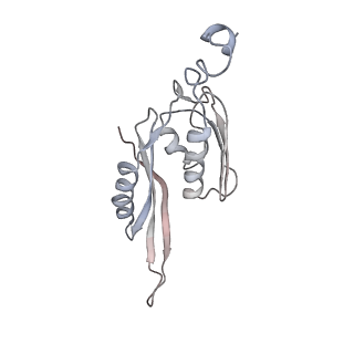 21630_6wdb_J_v1-3
Cryo-EM of elongating ribosome with EF-Tu*GTP elucidates tRNA proofreading (Cognate Structure IV-A)