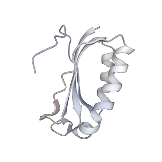 21630_6wdb_K_v1-2
Cryo-EM of elongating ribosome with EF-Tu*GTP elucidates tRNA proofreading (Cognate Structure IV-A)
