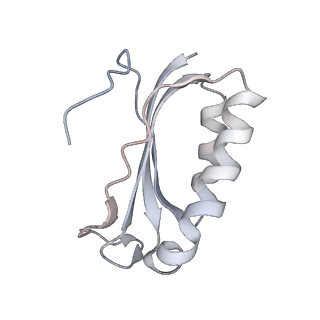 21630_6wdb_K_v1-3
Cryo-EM of elongating ribosome with EF-Tu*GTP elucidates tRNA proofreading (Cognate Structure IV-A)