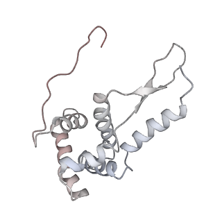 21630_6wdb_L_v1-2
Cryo-EM of elongating ribosome with EF-Tu*GTP elucidates tRNA proofreading (Cognate Structure IV-A)