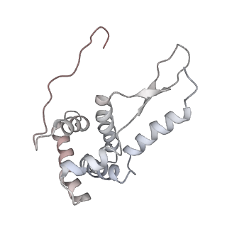 21630_6wdb_L_v1-3
Cryo-EM of elongating ribosome with EF-Tu*GTP elucidates tRNA proofreading (Cognate Structure IV-A)