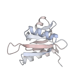 21630_6wdb_M_v1-2
Cryo-EM of elongating ribosome with EF-Tu*GTP elucidates tRNA proofreading (Cognate Structure IV-A)