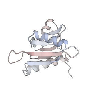 21630_6wdb_M_v1-3
Cryo-EM of elongating ribosome with EF-Tu*GTP elucidates tRNA proofreading (Cognate Structure IV-A)