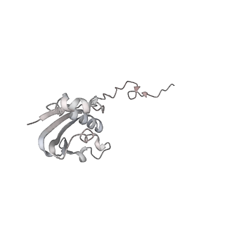 21630_6wdb_N_v1-2
Cryo-EM of elongating ribosome with EF-Tu*GTP elucidates tRNA proofreading (Cognate Structure IV-A)