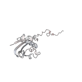 21630_6wdb_N_v1-3
Cryo-EM of elongating ribosome with EF-Tu*GTP elucidates tRNA proofreading (Cognate Structure IV-A)