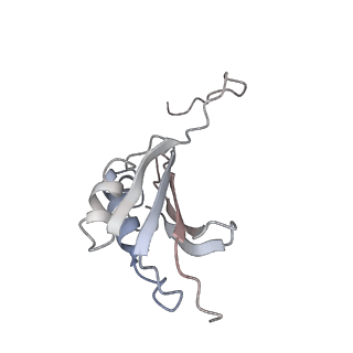 21630_6wdb_P_v1-3
Cryo-EM of elongating ribosome with EF-Tu*GTP elucidates tRNA proofreading (Cognate Structure IV-A)