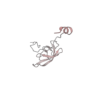21630_6wdb_Q_v1-2
Cryo-EM of elongating ribosome with EF-Tu*GTP elucidates tRNA proofreading (Cognate Structure IV-A)