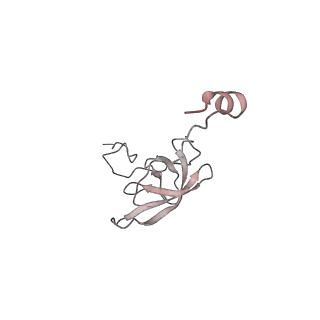 21630_6wdb_Q_v1-3
Cryo-EM of elongating ribosome with EF-Tu*GTP elucidates tRNA proofreading (Cognate Structure IV-A)