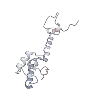 21630_6wdb_R_v1-2
Cryo-EM of elongating ribosome with EF-Tu*GTP elucidates tRNA proofreading (Cognate Structure IV-A)