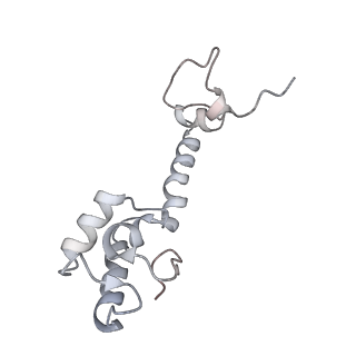 21630_6wdb_R_v1-3
Cryo-EM of elongating ribosome with EF-Tu*GTP elucidates tRNA proofreading (Cognate Structure IV-A)