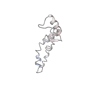21630_6wdb_S_v1-2
Cryo-EM of elongating ribosome with EF-Tu*GTP elucidates tRNA proofreading (Cognate Structure IV-A)