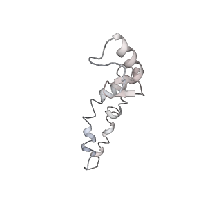 21630_6wdb_S_v1-3
Cryo-EM of elongating ribosome with EF-Tu*GTP elucidates tRNA proofreading (Cognate Structure IV-A)