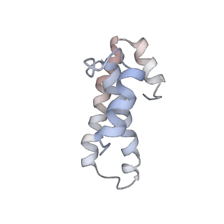 21630_6wdb_T_v1-2
Cryo-EM of elongating ribosome with EF-Tu*GTP elucidates tRNA proofreading (Cognate Structure IV-A)