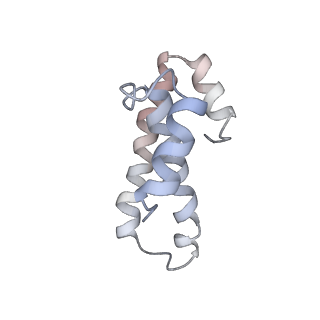 21630_6wdb_T_v1-3
Cryo-EM of elongating ribosome with EF-Tu*GTP elucidates tRNA proofreading (Cognate Structure IV-A)