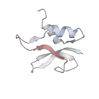 21630_6wdb_U_v1-2
Cryo-EM of elongating ribosome with EF-Tu*GTP elucidates tRNA proofreading (Cognate Structure IV-A)