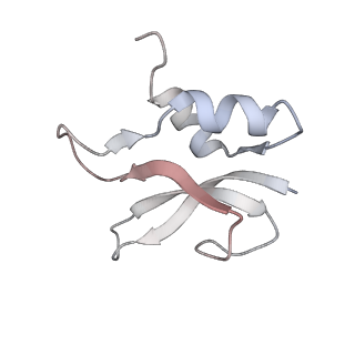 21630_6wdb_U_v1-3
Cryo-EM of elongating ribosome with EF-Tu*GTP elucidates tRNA proofreading (Cognate Structure IV-A)