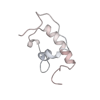 21630_6wdb_W_v1-2
Cryo-EM of elongating ribosome with EF-Tu*GTP elucidates tRNA proofreading (Cognate Structure IV-A)