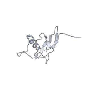 21630_6wdb_X_v1-2
Cryo-EM of elongating ribosome with EF-Tu*GTP elucidates tRNA proofreading (Cognate Structure IV-A)