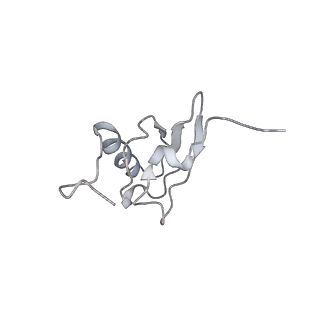 21630_6wdb_X_v1-3
Cryo-EM of elongating ribosome with EF-Tu*GTP elucidates tRNA proofreading (Cognate Structure IV-A)