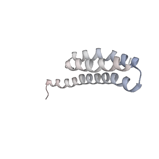 21630_6wdb_Y_v1-2
Cryo-EM of elongating ribosome with EF-Tu*GTP elucidates tRNA proofreading (Cognate Structure IV-A)
