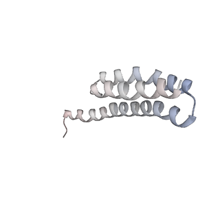 21630_6wdb_Y_v1-3
Cryo-EM of elongating ribosome with EF-Tu*GTP elucidates tRNA proofreading (Cognate Structure IV-A)