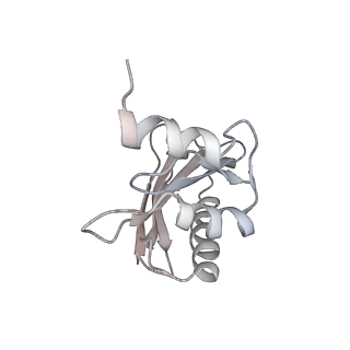 21630_6wdb_a_v1-2
Cryo-EM of elongating ribosome with EF-Tu*GTP elucidates tRNA proofreading (Cognate Structure IV-A)