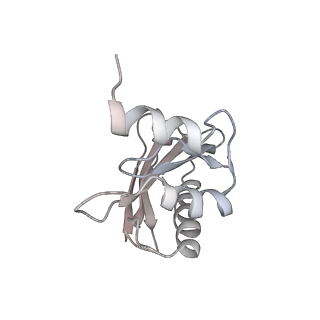 21630_6wdb_a_v1-3
Cryo-EM of elongating ribosome with EF-Tu*GTP elucidates tRNA proofreading (Cognate Structure IV-A)