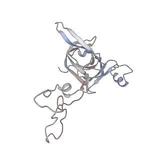 21630_6wdb_c_v1-2
Cryo-EM of elongating ribosome with EF-Tu*GTP elucidates tRNA proofreading (Cognate Structure IV-A)