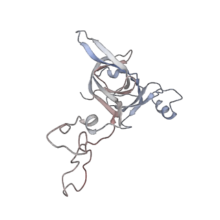 21630_6wdb_c_v1-3
Cryo-EM of elongating ribosome with EF-Tu*GTP elucidates tRNA proofreading (Cognate Structure IV-A)