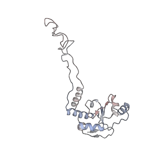 21630_6wdb_d_v1-2
Cryo-EM of elongating ribosome with EF-Tu*GTP elucidates tRNA proofreading (Cognate Structure IV-A)