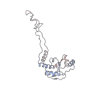 21630_6wdb_d_v1-3
Cryo-EM of elongating ribosome with EF-Tu*GTP elucidates tRNA proofreading (Cognate Structure IV-A)