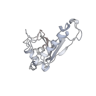 21630_6wdb_e_v1-2
Cryo-EM of elongating ribosome with EF-Tu*GTP elucidates tRNA proofreading (Cognate Structure IV-A)