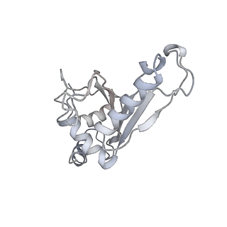 21630_6wdb_e_v1-3
Cryo-EM of elongating ribosome with EF-Tu*GTP elucidates tRNA proofreading (Cognate Structure IV-A)