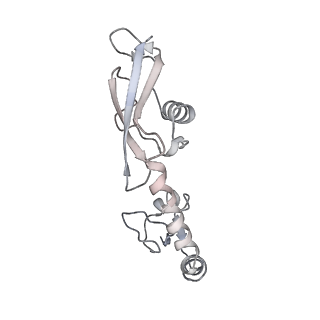 21630_6wdb_g_v1-2
Cryo-EM of elongating ribosome with EF-Tu*GTP elucidates tRNA proofreading (Cognate Structure IV-A)