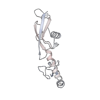 21630_6wdb_g_v1-3
Cryo-EM of elongating ribosome with EF-Tu*GTP elucidates tRNA proofreading (Cognate Structure IV-A)