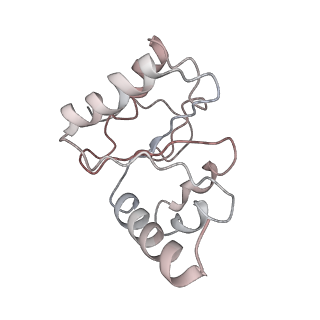 21630_6wdb_h_v1-2
Cryo-EM of elongating ribosome with EF-Tu*GTP elucidates tRNA proofreading (Cognate Structure IV-A)