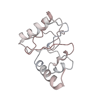 21630_6wdb_h_v1-3
Cryo-EM of elongating ribosome with EF-Tu*GTP elucidates tRNA proofreading (Cognate Structure IV-A)