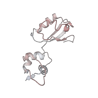 21630_6wdb_i_v1-3
Cryo-EM of elongating ribosome with EF-Tu*GTP elucidates tRNA proofreading (Cognate Structure IV-A)