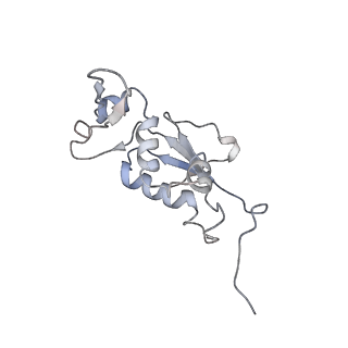 21630_6wdb_j_v1-2
Cryo-EM of elongating ribosome with EF-Tu*GTP elucidates tRNA proofreading (Cognate Structure IV-A)
