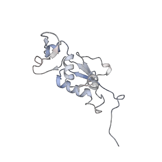 21630_6wdb_j_v1-3
Cryo-EM of elongating ribosome with EF-Tu*GTP elucidates tRNA proofreading (Cognate Structure IV-A)