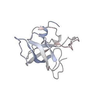 21630_6wdb_k_v1-2
Cryo-EM of elongating ribosome with EF-Tu*GTP elucidates tRNA proofreading (Cognate Structure IV-A)