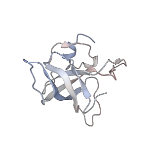 21630_6wdb_k_v1-3
Cryo-EM of elongating ribosome with EF-Tu*GTP elucidates tRNA proofreading (Cognate Structure IV-A)