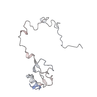 21630_6wdb_l_v1-2
Cryo-EM of elongating ribosome with EF-Tu*GTP elucidates tRNA proofreading (Cognate Structure IV-A)