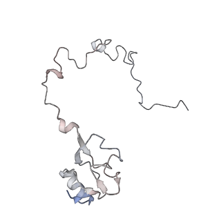 21630_6wdb_l_v1-3
Cryo-EM of elongating ribosome with EF-Tu*GTP elucidates tRNA proofreading (Cognate Structure IV-A)