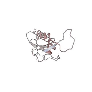 21630_6wdb_m_v1-2
Cryo-EM of elongating ribosome with EF-Tu*GTP elucidates tRNA proofreading (Cognate Structure IV-A)