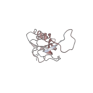 21630_6wdb_m_v1-3
Cryo-EM of elongating ribosome with EF-Tu*GTP elucidates tRNA proofreading (Cognate Structure IV-A)