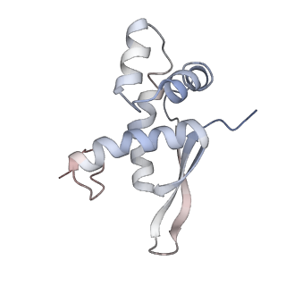 21630_6wdb_n_v1-2
Cryo-EM of elongating ribosome with EF-Tu*GTP elucidates tRNA proofreading (Cognate Structure IV-A)