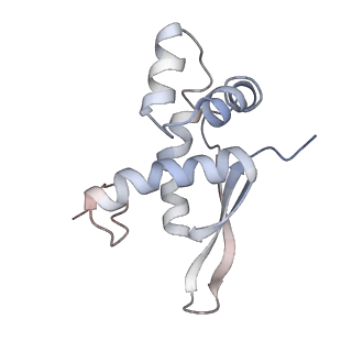 21630_6wdb_n_v1-3
Cryo-EM of elongating ribosome with EF-Tu*GTP elucidates tRNA proofreading (Cognate Structure IV-A)