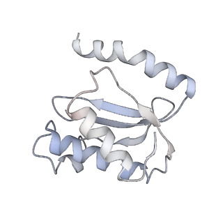 21630_6wdb_o_v1-2
Cryo-EM of elongating ribosome with EF-Tu*GTP elucidates tRNA proofreading (Cognate Structure IV-A)